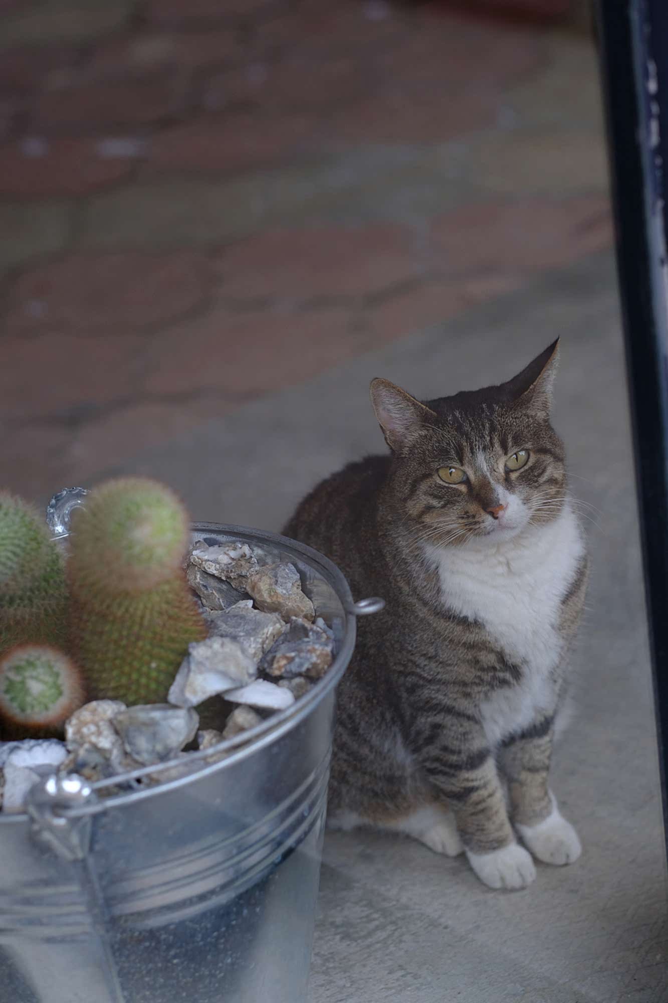Stüdyo Fotograbia - Antalya
